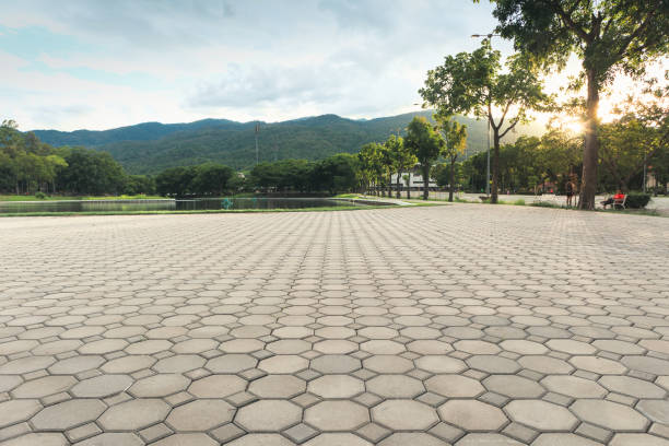 Permeable Paver Driveway in La Grange, NC