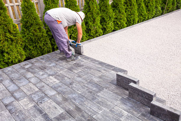 Best Residential Paver Driveway  in La Grange, NC