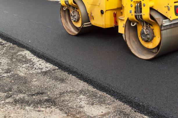 Best Professional Driveway Pavers  in La Grange, NC